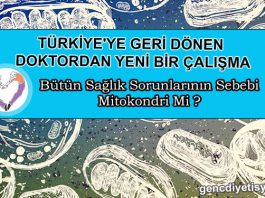 YENİ BİR ÇALIŞMA MİTOKONDRİ