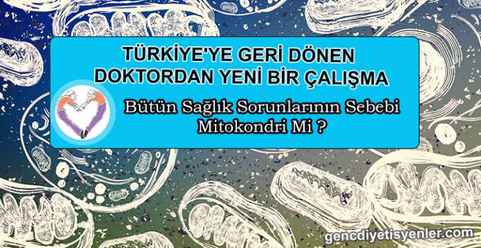 YENİ BİR ÇALIŞMA MİTOKONDRİ