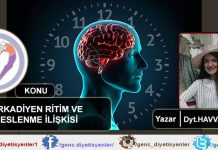 havva zavrak sirkardiyen ritim ve beslenme