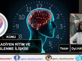 havva zavrak sirkardiyen ritim ve beslenme