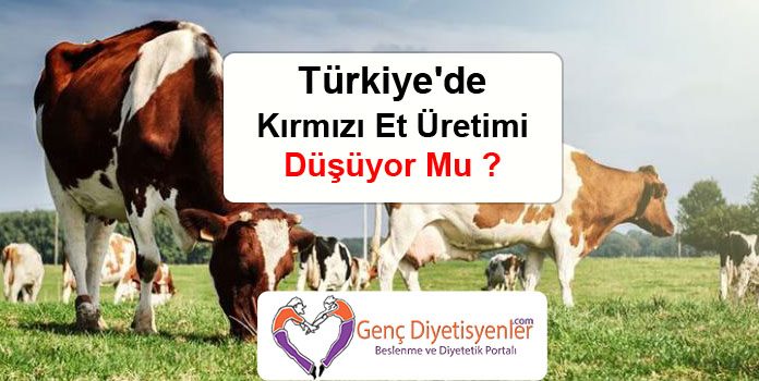 Türkiye'de Kırmızı Et Üretimi Düşüyor Mu