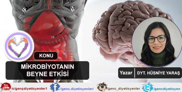 DYT. Hüsniye Mikro BİYOTANIN BEYNE ETKİSİ