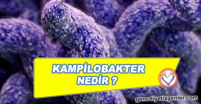 KAMPİLOBAKTER