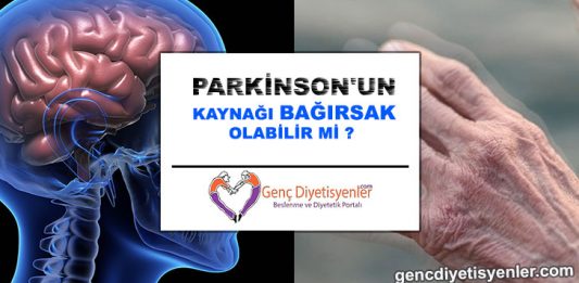 PARKİNSON'UN kaynağı bağırsak olabilir mi