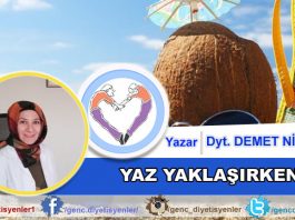 Demet NİKBAY - YAZ YAKLAŞIRKEN