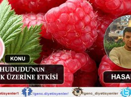 Ahududu'nun Sağlık Üzerine Etkisi - Hasan ŞEN