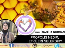 Sabiha Nurcan Kurt PROPOLİS NEDİR, ETKİLERİ NELERDİR