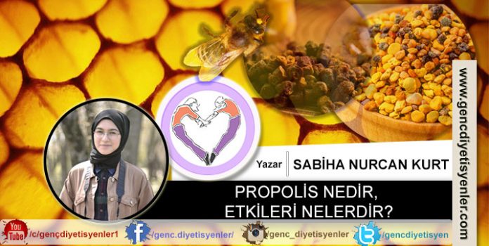 Sabiha Nurcan Kurt PROPOLİS NEDİR, ETKİLERİ NELERDİR