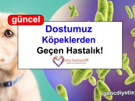 köpeklerden geçen hastalık
