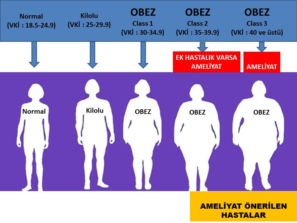 obezite indeksler