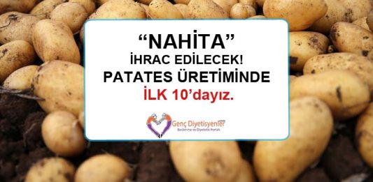 nahita patates üretiminde ilk 10 dayız