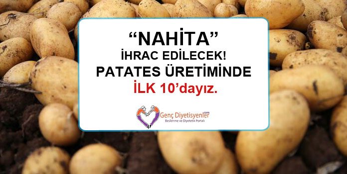 nahita patates üretiminde ilk 10 dayız
