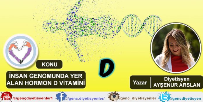 Diyetisyen Ayşenur ARSLAN - İnsan Genomunda Yer Alan Hormon D Vitamini