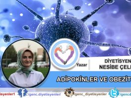 Diyetisyen Nesibe Çelem - ADİPOKİNLER VE OBEZİTE’