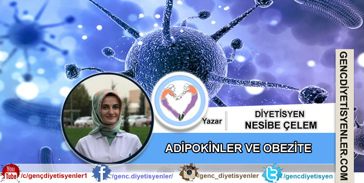 Diyetisyen Nesibe Çelem - ADİPOKİNLER VE OBEZİTE’