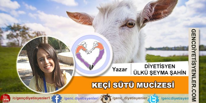 Diyetisyen Ülkü Şeyma ŞAHİN - Keçi Sütü Mucizesi