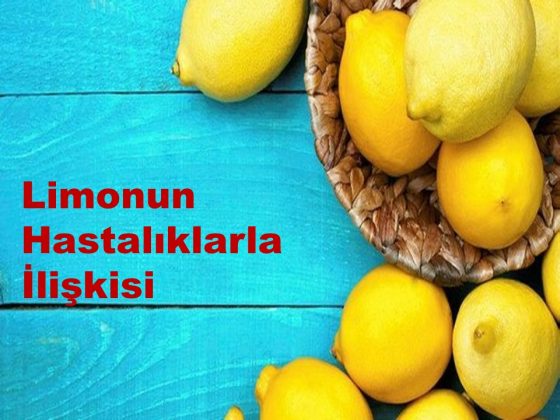 Limonun hastalıklarla ilişkisi - Diyetisyen Senem DURAN