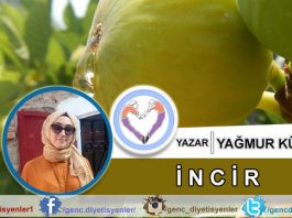 Yağmur Küçük - İncir