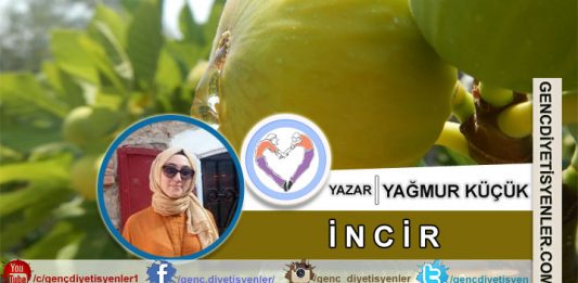 Yağmur Küçük - İncir