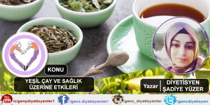 Şadiye Yüzer - Yeşil çay ve sağlık üzerine etkileri