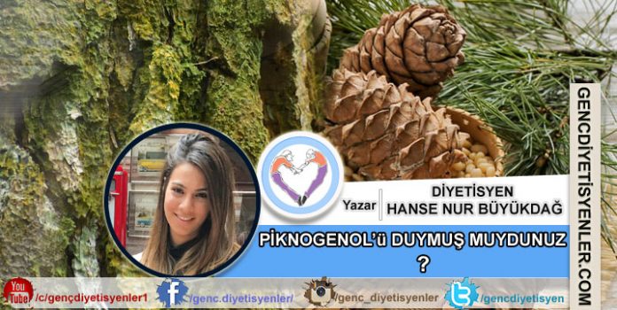 Diyetisyen Hanse Nur BÜYÜKDAĞ - PİKNOGENOLÜ DUYMUŞ MUYDUNUZ