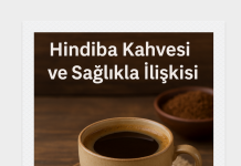 Hindiba Kahvesi ve Sağlıkla İlişkisi – Fatma Aytunç hindiba kahvesi,