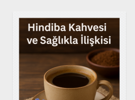 hindiba kahvesi,